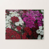 Floral van witte, roze en rode dianthus legpuzzel (Horizontaal)