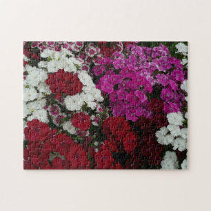 Floral van witte, roze en rode dianthus legpuzzel