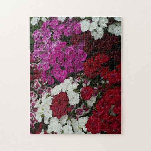 Floral van witte, roze en rode dianthus legpuzzel (Verticaal)