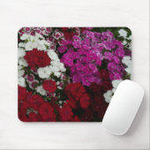 Floral van witte, roze en rode dianthus muismat (Met muis)