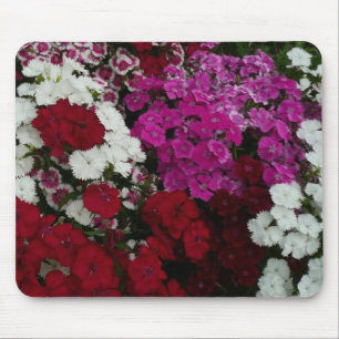 Floral van witte, roze en rode dianthus muismat