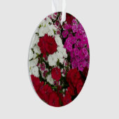 Floral van witte, roze en rode dianthus ornament (voorkant)