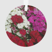 Floral van witte, roze en rode dianthus ornament (achterkant)