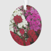 Floral van witte, roze en rode dianthus ornament (voorkant)