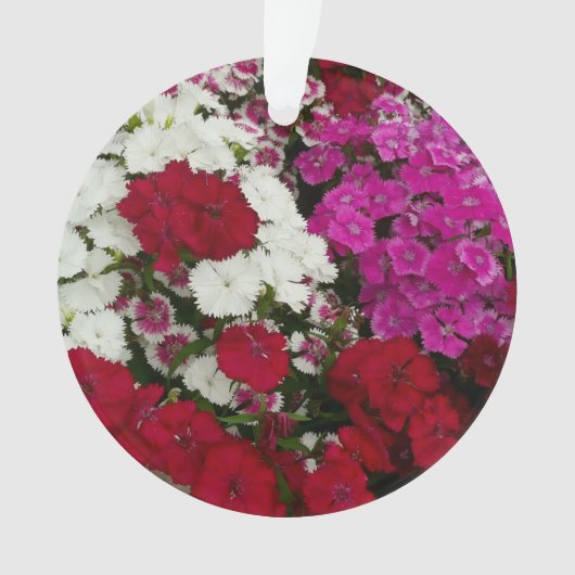 Floral van witte, roze en rode dianthus ornament (voorkant)