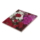 Floral van witte, roze en rode dianthus tegeltje (Zijkant)