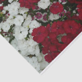 Floral van witte, roze en rode dianthus tissuepapier (Detail)