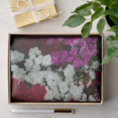 Floral van witte, roze en rode dianthus tissuepapier (Geschenk)