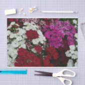 Floral van witte, roze en rode dianthus tissuepapier (Craft)
