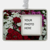 Floral van witte, roze en rode dianthus verzilverd omlijst ornament (Voorkant)