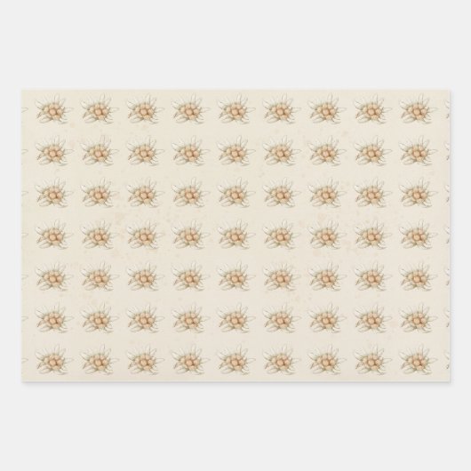  Floral Waterverf Edelweiss Inpakpapier Vel (Voorkant 3)