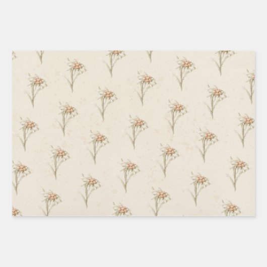 Floral Waterverf Edelweiss Inpakpapier Vel (Voorkant)