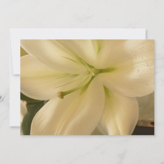 Floral Wedding Invitations Kaart (Achterkant)