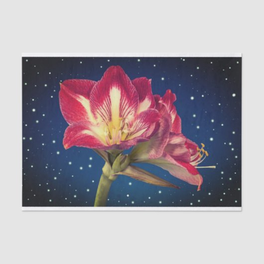 Floral-weefselpapier Tissuepapier (Voorkant)