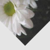 Floral-weefselpapier Tissuepapier (Detail)