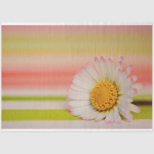 Floral-weefselpapier Tissuepapier (Voorkant)