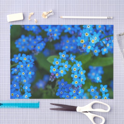 Floral-Weefselpapier vergeten-me-niet Tissuepapier (Craft)
