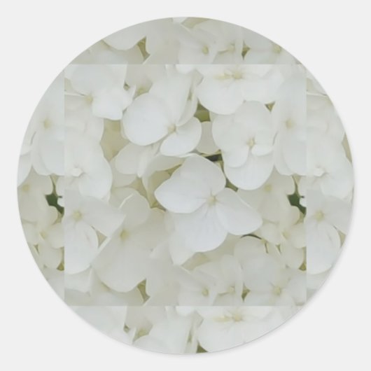 Floral White Elegant Blossom Ronde Sticker (Voorkant)