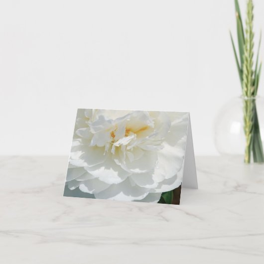 Floral White Rose Note-kaarten Bedankkaart (Voorkant)