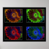 Floral Windows Poster (Voorkant)
