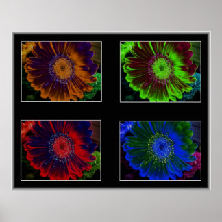 Floral Windows Poster