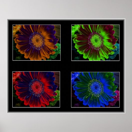 Floral Windows Poster (Voorkant)