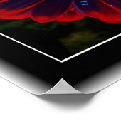 Floral Windows Poster (Hoek)