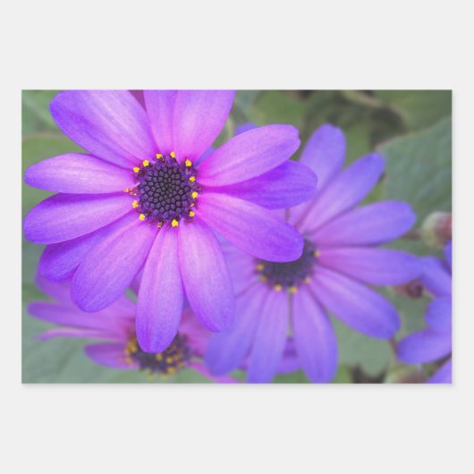 Floral Wrapping Paper (Voorkant 3)