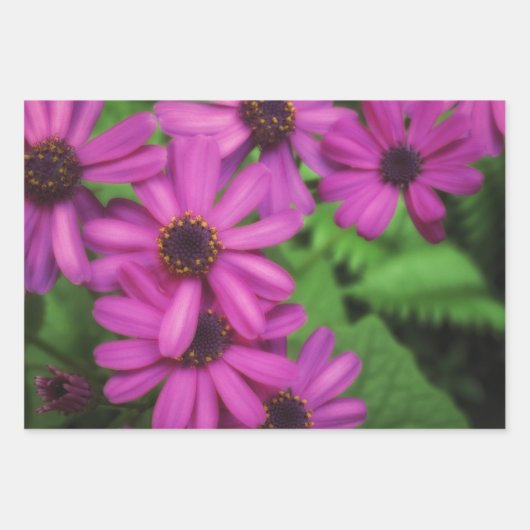 Floral Wrapping Paper (Voorkant 2)