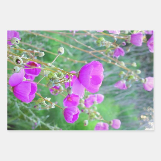 Floral Wrapping Paper (Voorkant)