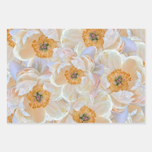Floral wrapping Paper (Voorkant)