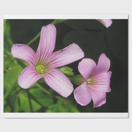 Floral wrapping Paper Cadeaupapier (Vlak)