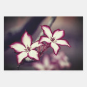 Floral wrapping papieren bladen inpakpapier vel (Voorkant)