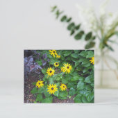 Floral Yellow Black Eyed Susan Foto Briefkaart (Staand voorkant)