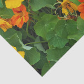 Floral Yellow en Oranje Nasturtiums Foto Tissuepapier (Detail)