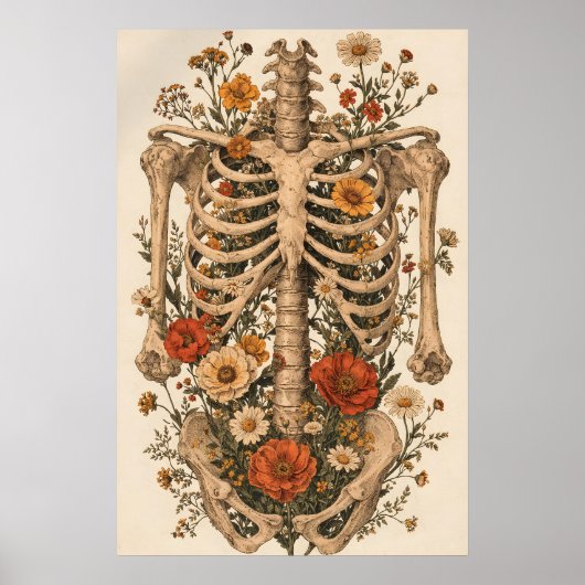 Florale anatomie skeletposter, vintage botanisch poster (Voorkant)