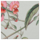 florale botanische bloei, orchidee stof (Close Up)