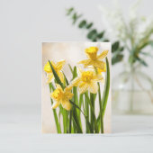 Florale fotografie:  Gele lentesaffodils Briefkaart (Staand voorkant)