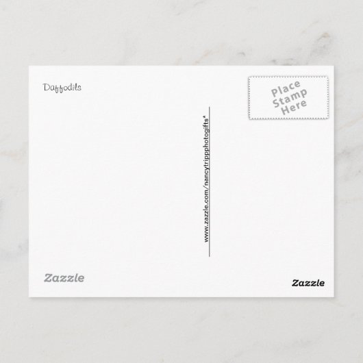 Florale fotografie:  Gele lentesaffodils Briefkaart (Achterkant)