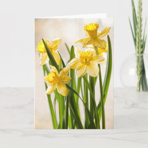 Florale fotografie: Gele lentesaffodils Kaart