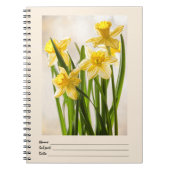 Florale fotografie:  Gele lentesaffodils Notitieboek (Voorkant)