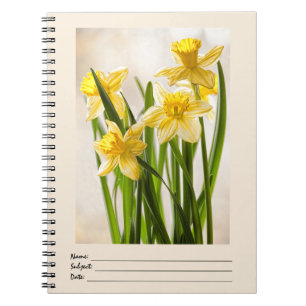 Florale fotografie: Gele lentesaffodils Notitieboek