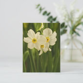 Florale fotografie:  White Spring Narcissus Briefkaart (Staand voorkant)