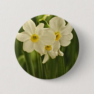 Florale fotografie:  White Spring Narcissus Ronde Button 5,7 Cm