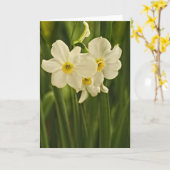 Florale fotografie:  Witte voorjaarsnecarcissues Kaart (Gele Bloem)