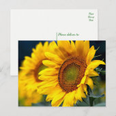 Florale geelzonnebloemen - Hallo, denken aan jou Briefkaart (Voorkant / Achterkant)