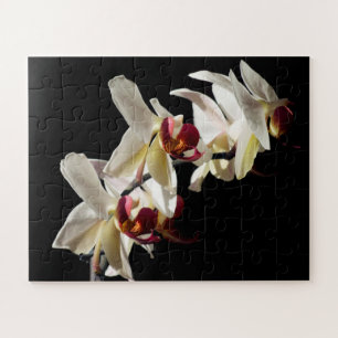 Florale hoogtepunten van witte phalaenopsis Orchid Legpuzzel