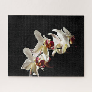 Florale hoogtepunten van witte phalaenopsis Orchid Legpuzzel
