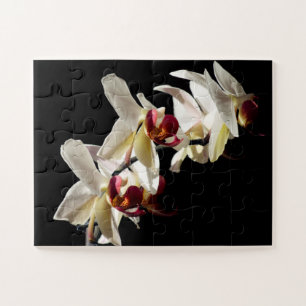 Florale hoogtepunten van witte phalaenopsis Orchid Legpuzzel