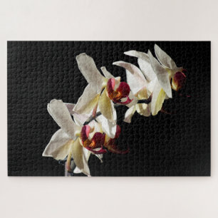 Florale hoogtepunten van witte phalaenopsis Orchid Legpuzzel